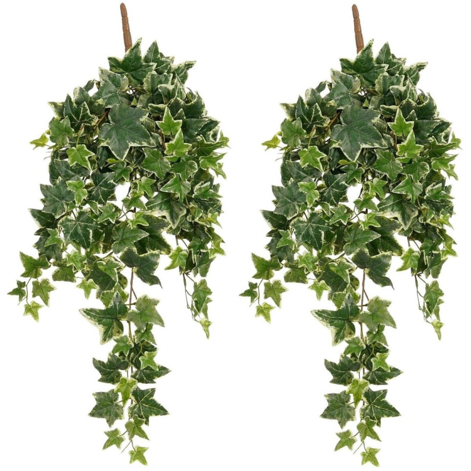 Mica Decorations Hedera klimop kunstplant - 2x - groen mix - hangplant - L25 x B25 x H80 cm - Kunstplanten/nepplanten Mica Decorations Hedera klimop kunstplant - 2x - groen mix - hangplant - L25 x B25 x H80 cm - Kunstplanten/nepplanten afbeelding 1