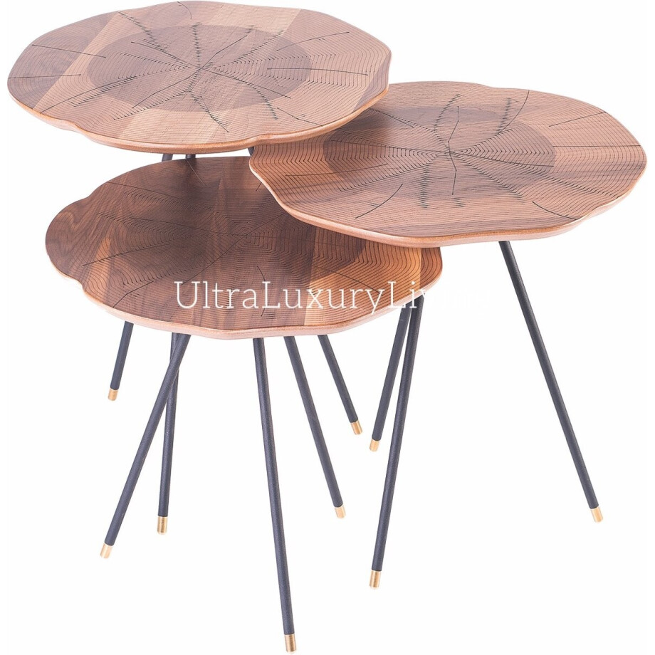 LAZER Wooden Bijzettafel Set van 3 afbeelding 1