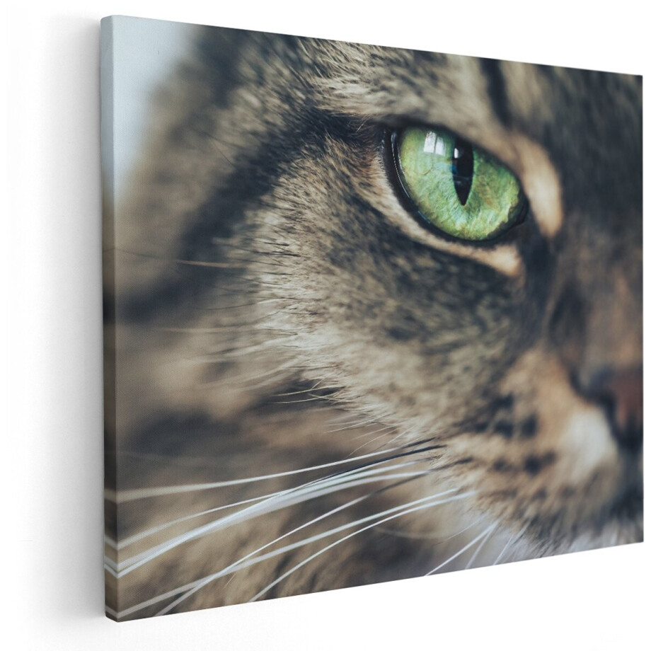 Artaza Canvas Schilderij Kat Met Groene Ogen Van Dichtbij - 150x120 cm - Groot - Wanddecoratie Woonkamer - Schilderijen - Muurdecoratie afbeelding 1