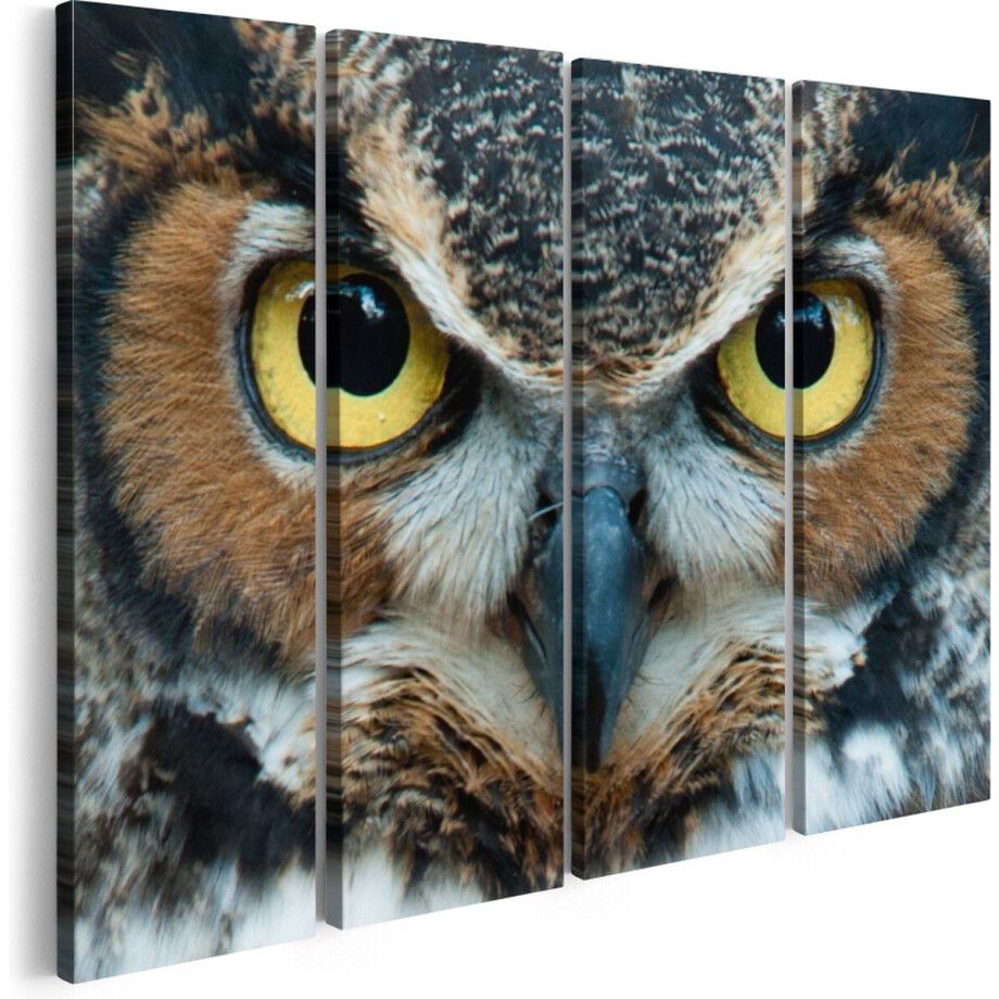 Artaza Canvas Schilderij Vierluik Uil Kop Met Gouden Ogen - 120x90 - Foto Op Canvas - Canvas Print afbeelding 1