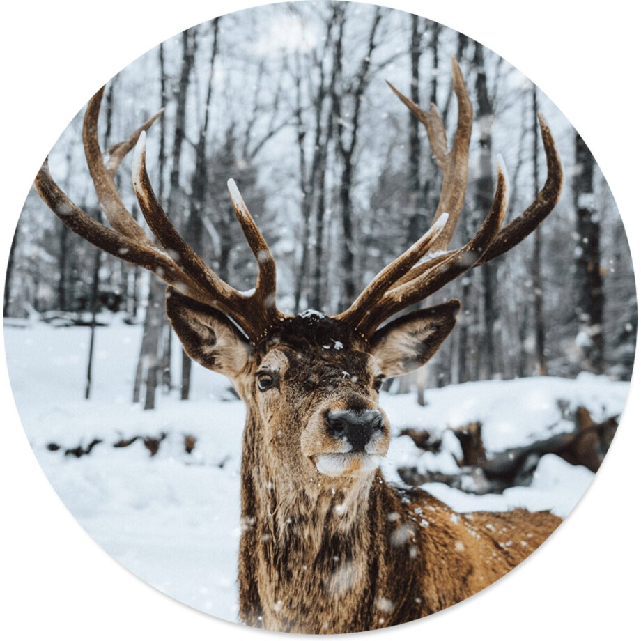 Label2X - Schilderij - Rendier Ø Aanbevolen - Multicolor - 30 X 30 Cm Label2X - Schilderij - Rendier Ø Aanbevolen - Multicolor - 30 X 30 Cm afbeelding 1