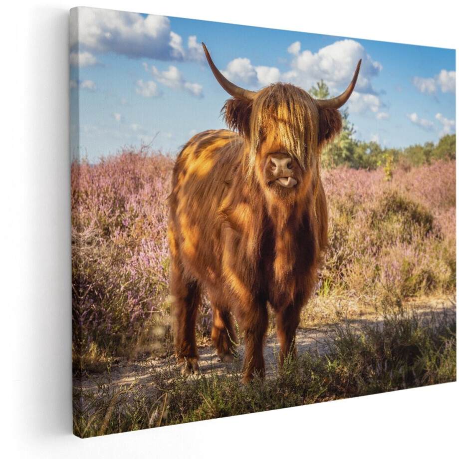 Artaza Canvas Schilderij Schotse Hooglander Koe In De Wei - 150x120 cm - Groot - Wanddecoratie Woonkamer - Schilderijen - Muurdecoratie afbeelding 1