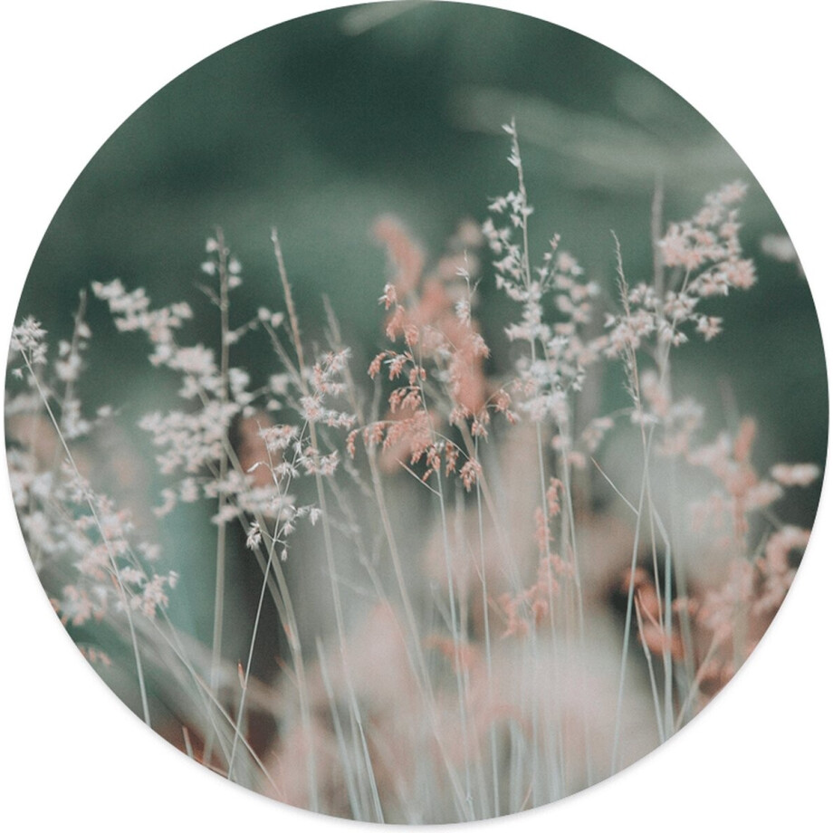 Label2X - Schilderij - Lentegras Ø Aanbevolen - Multicolor - 60 X 60 Cm afbeelding 1