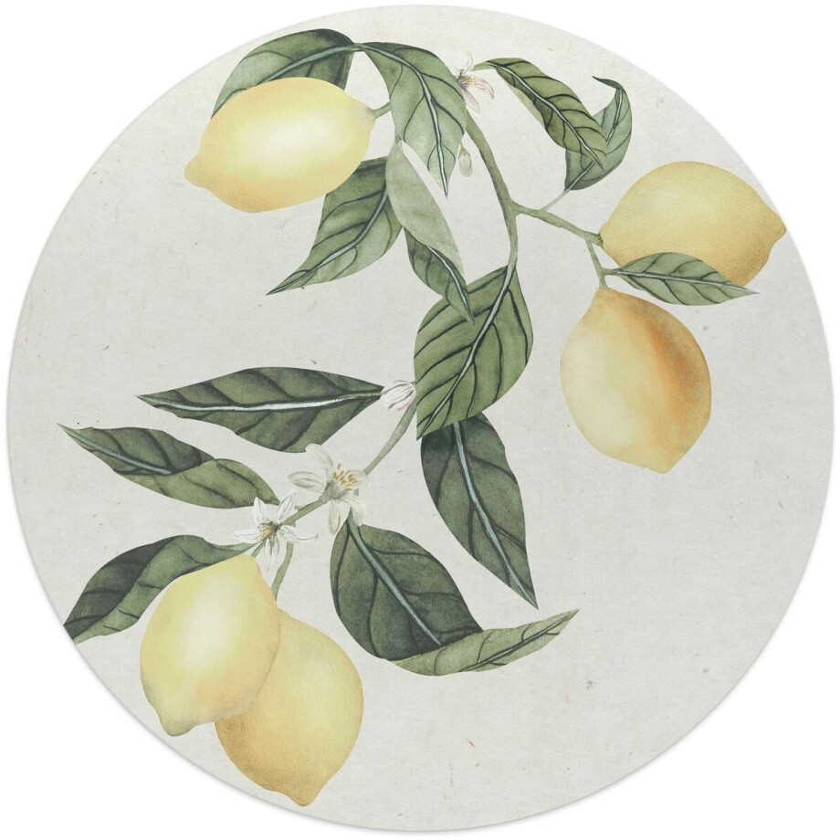 Glasschilderij Citroentak - Ø 50cm - Glas - REINDERS afbeelding 1