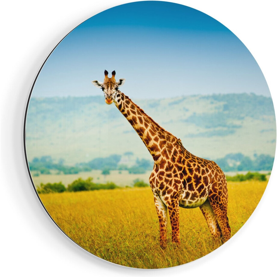 Artaza Dibond Muurcirkel Giraffe In Het Veld - Ø 40 cm - Klein - Wandcirkel - Rond Schilderij - Voor Binnen en Buiten Artaza Dibond Muurcirkel Giraffe In Het Veld - Ø 40 cm - Klein - Wandcirkel - Rond Schilderij - Voor Binnen en Buiten afbeelding 1