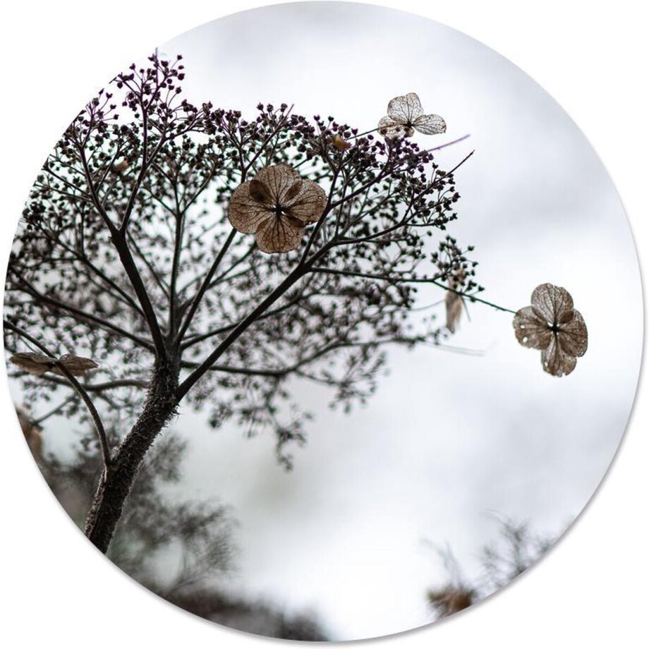 Label2X - Schilderij - Vogelhuisje Ø Aanbevolen - Multicolor - 12 X 12 Cm Label2X - Schilderij - Vogelhuisje Ø Aanbevolen - Multicolor - 12 X 12 Cm afbeelding 1