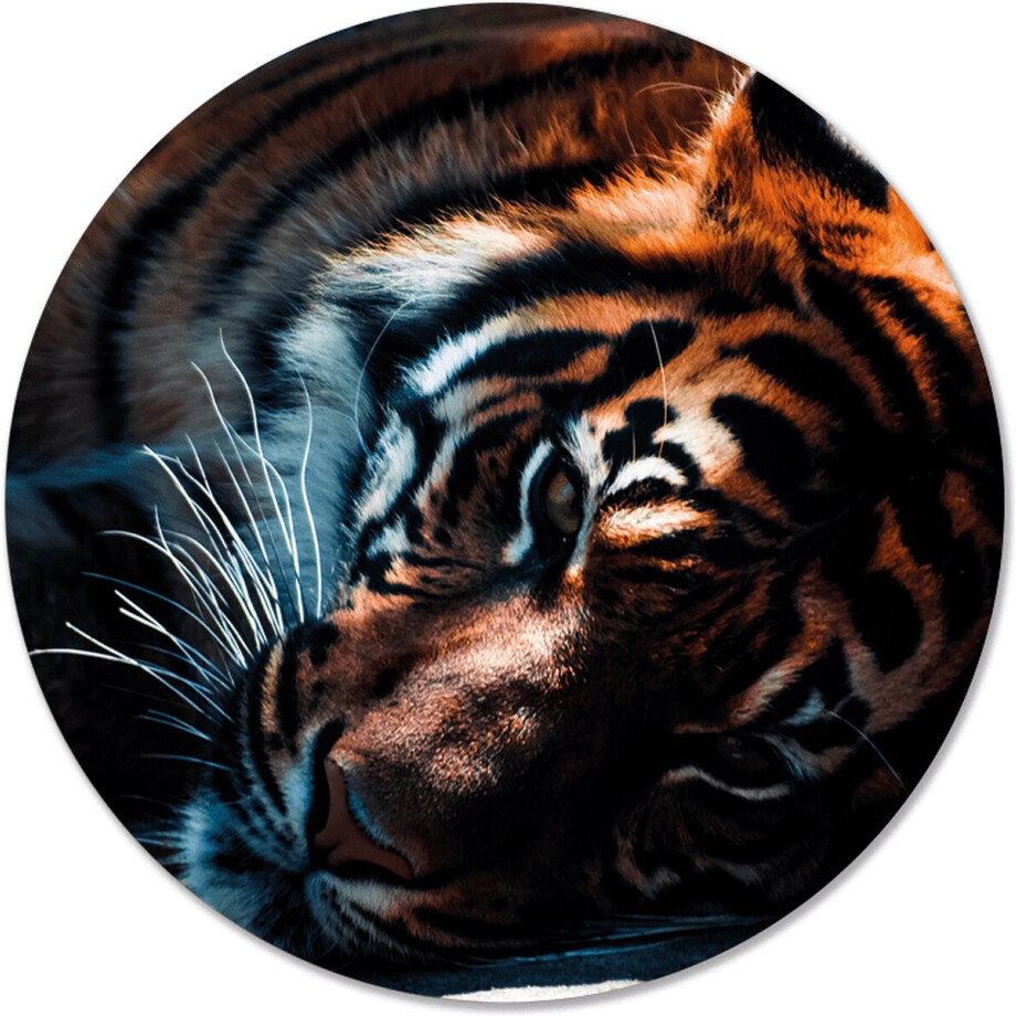 Label2X - Schilderij - Tijger Ø Aanbevolen - Multicolor - 120 X 120 Cm afbeelding 1