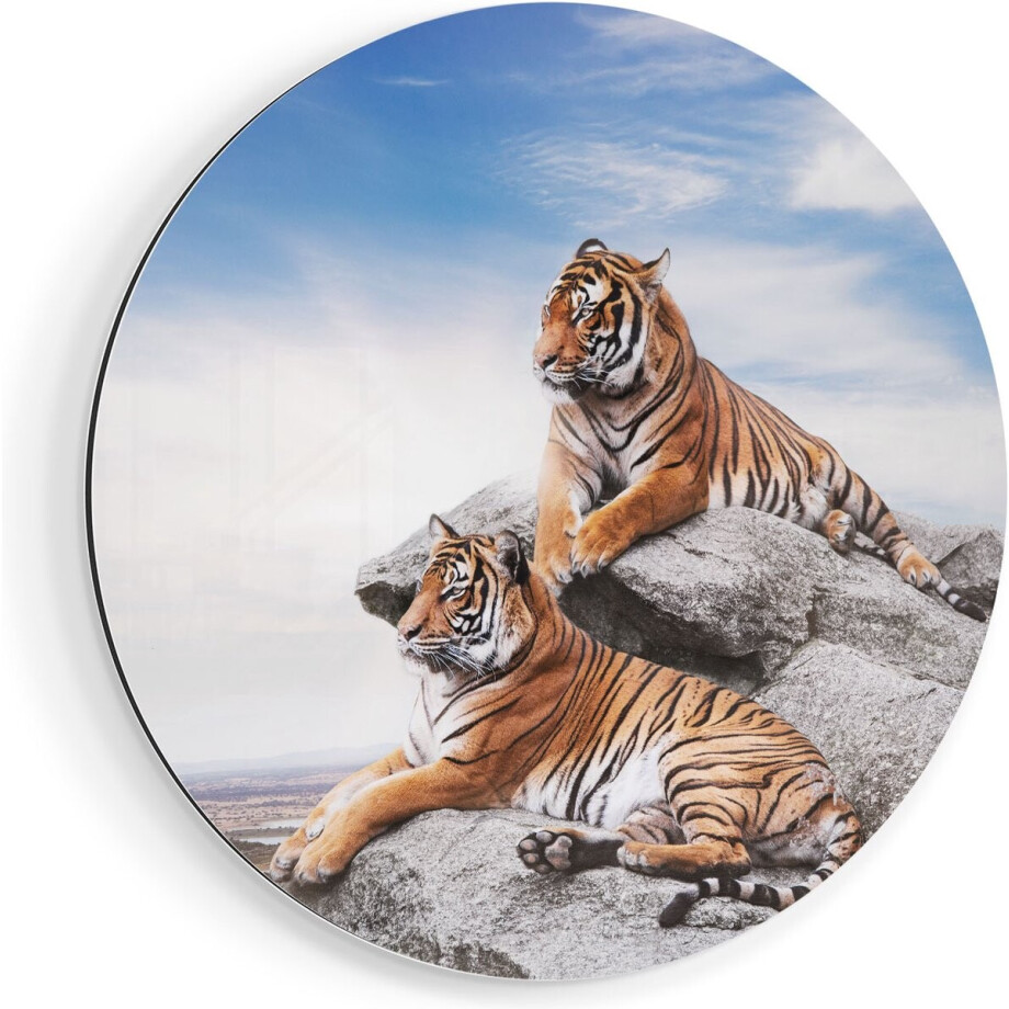 Artaza Dibond Muurcirkel Twee Tijgers Op Rotsen Met Het Blauwe Lucht - Ø 50 cm - Klein - Wandcirkel - Rond Schilderij - Voor Binnen en Buiten afbeelding 1
