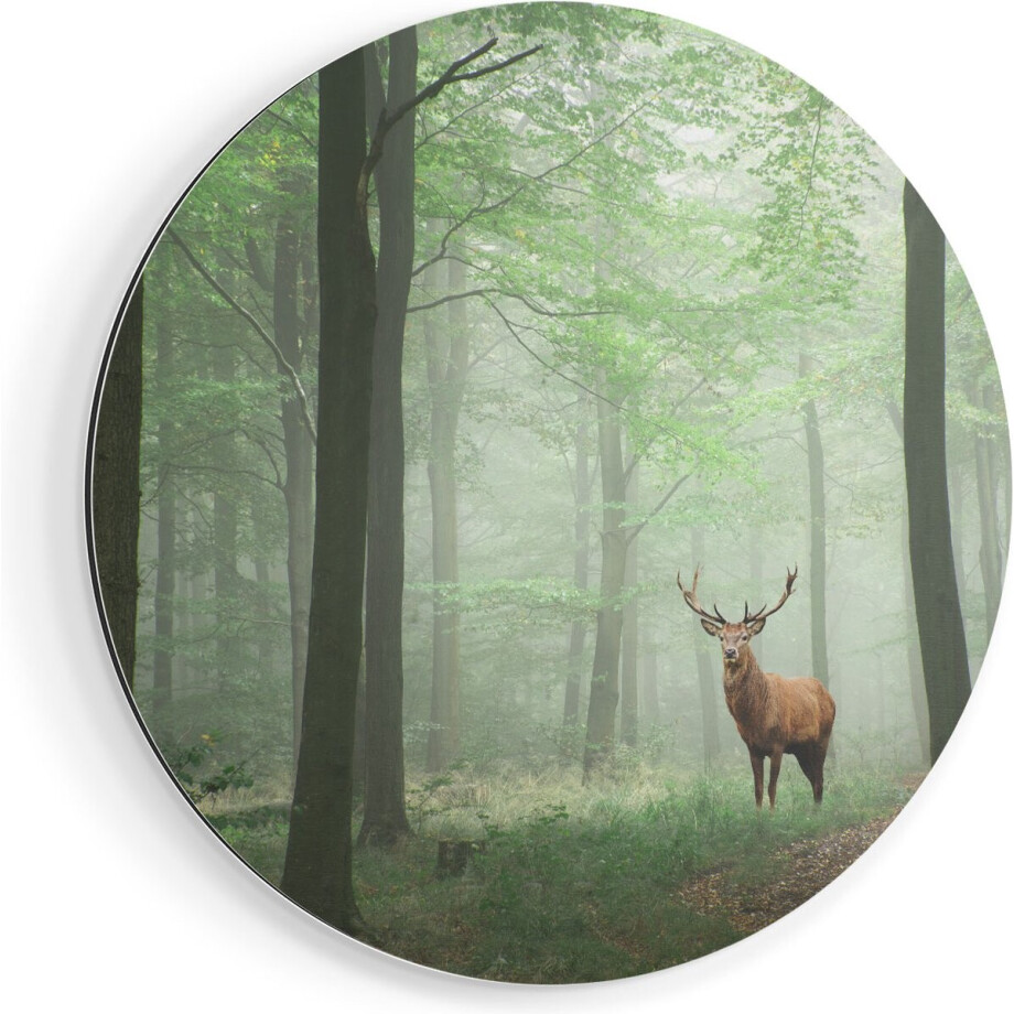 Artaza Dibond Muurcirkel Hert In Bos - Ø 70 cm - Wandcirkel - Rond Schilderij - Voor Binnen en Buiten Artaza Dibond Muurcirkel Hert In Bos - Ø 70 cm - Wandcirkel - Rond Schilderij - Voor Binnen en Buiten afbeelding 1