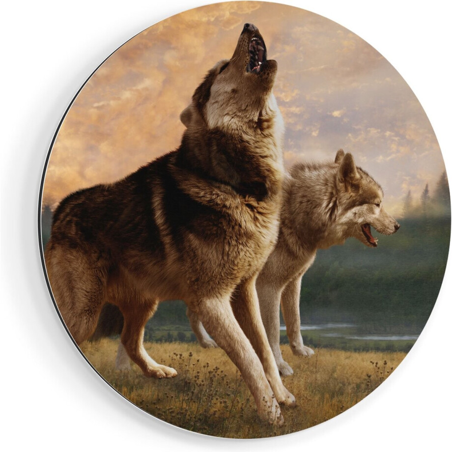 Artaza Dibond Muurcirkel Twee Wolven Op Het Gras - Ø 50 cm - Klein - Wandcirkel - Rond Schilderij - Voor Binnen en Buiten Artaza Dibond Muurcirkel Twee Wolven Op Het Gras - Ø 50 cm - Klein - Wandcirkel - Rond Schilderij - Voor Binnen en Buiten afbeelding 1