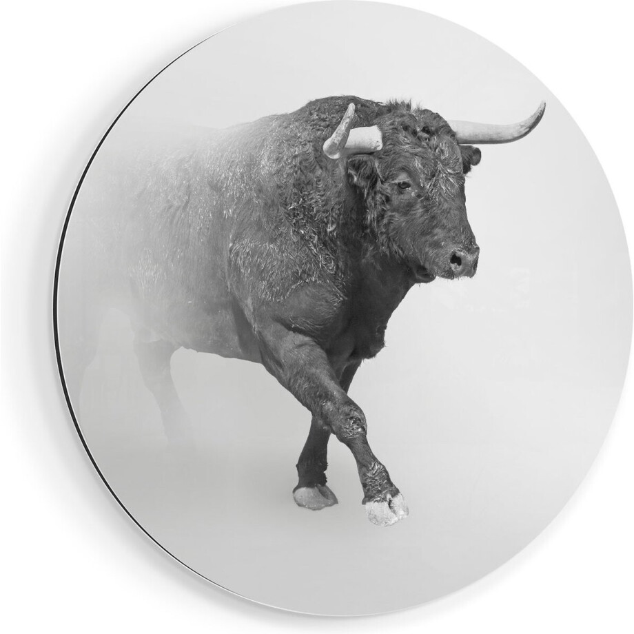 Artaza Dibond Muurcirkel Stier Op Een Grijze Achtergrond - Zwart Wit - Ø 40 cm - Klein - Wandcirkel - Rond Schilderij - Voor Binnen en Buiten afbeelding 1