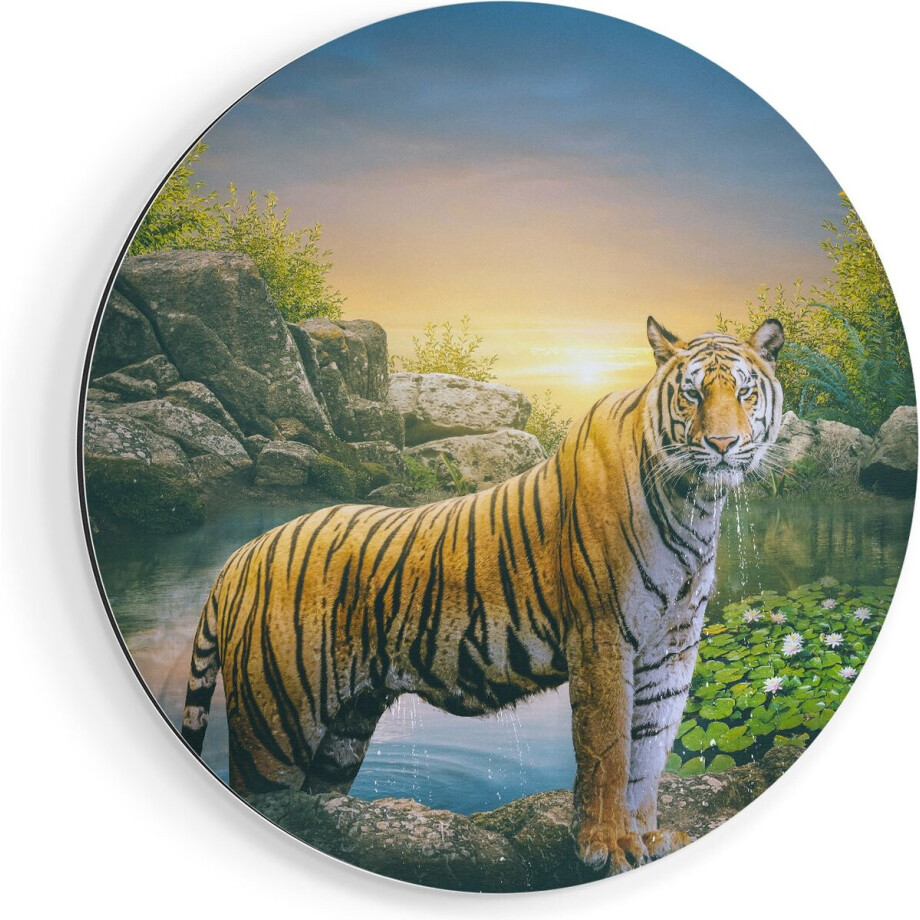 Artaza Dibond Muurcirkel Luipaard In Een Vijver Bij Zonsondergang - Ø 40 cm - Klein - Wandcirkel - Rond Schilderij - Voor Binnen en Buiten Artaza Dibond Muurcirkel Luipaard In Een Vijver Bij Zonsondergang - Ø 40 cm - Klein - Wandcirkel - Rond Schilderij - Voor Binnen en Buiten afbeelding 1