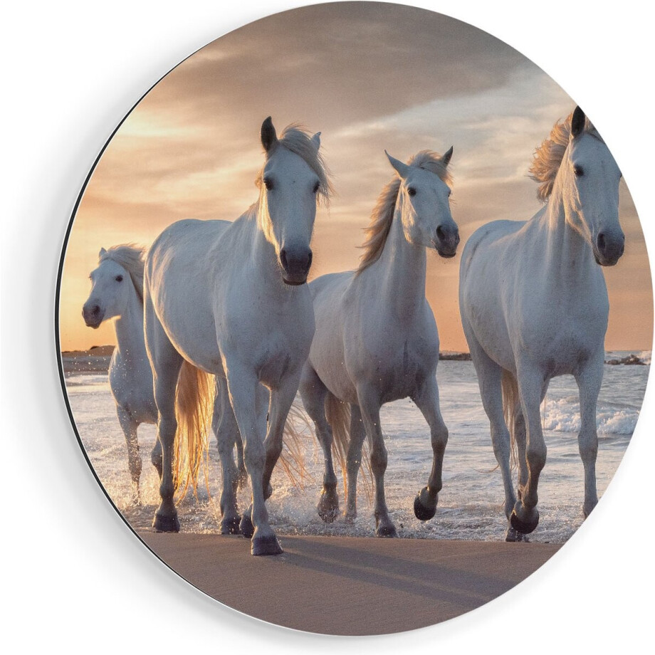 Artaza Dibond Muurcirkel Witte Paarden Op Het Strand Bij Water - Ø 60 cm - Wandcirkel - Rond Schilderij - Voor Binnen en Buiten Artaza Dibond Muurcirkel Witte Paarden Op Het Strand Bij Water - Ø 60 cm - Wandcirkel - Rond Schilderij - Voor Binnen en Buiten afbeelding 1