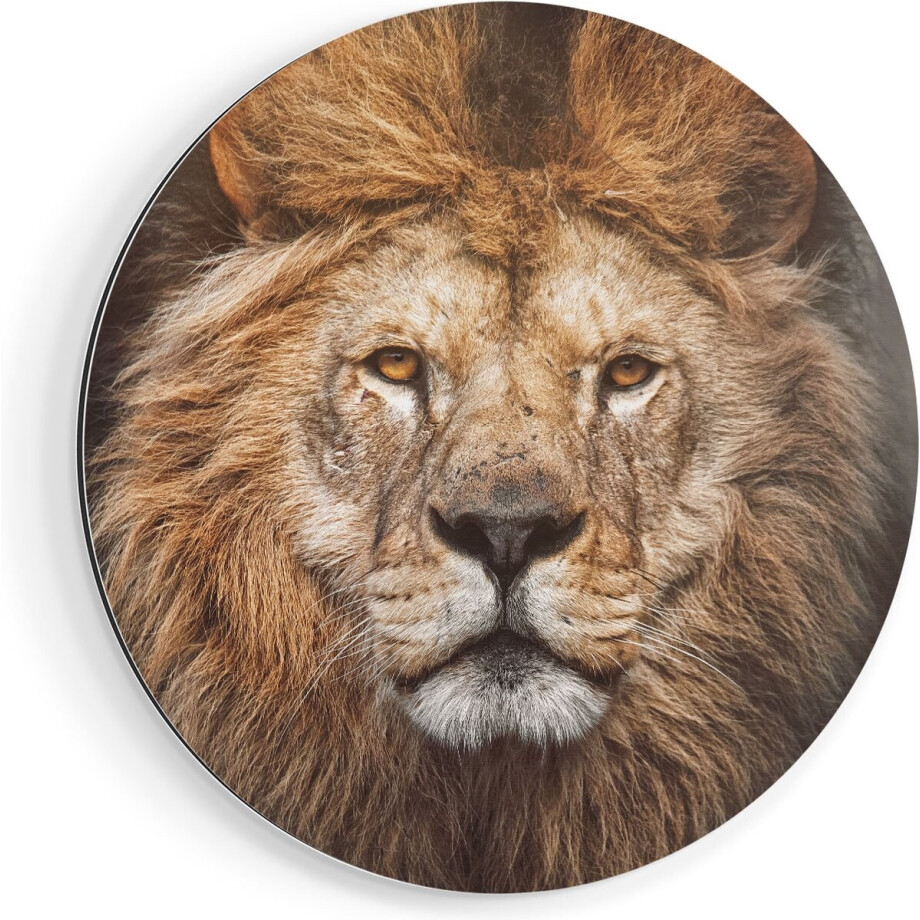 Artaza Dibond Muurcirkel Leeuw - Leeuwenkop - Kleur - Ø 40 cm - Klein - Wandcirkel - Rond Schilderij - Voor Binnen en Buiten afbeelding 1