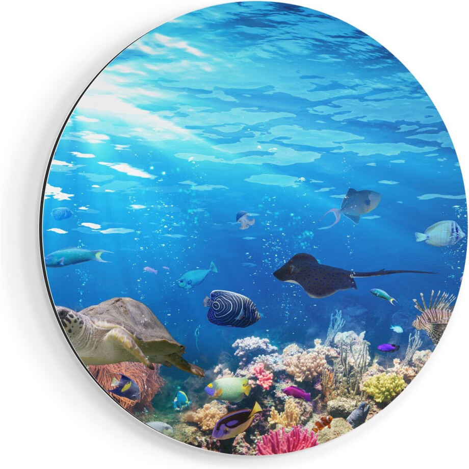 Artaza Dibond Muurcirkel Vissen met Koraalrif Onder Water - Ø 80 cm - Groot - Wandcirkel - Rond Schilderij - Voor Binnen en Buiten afbeelding 1