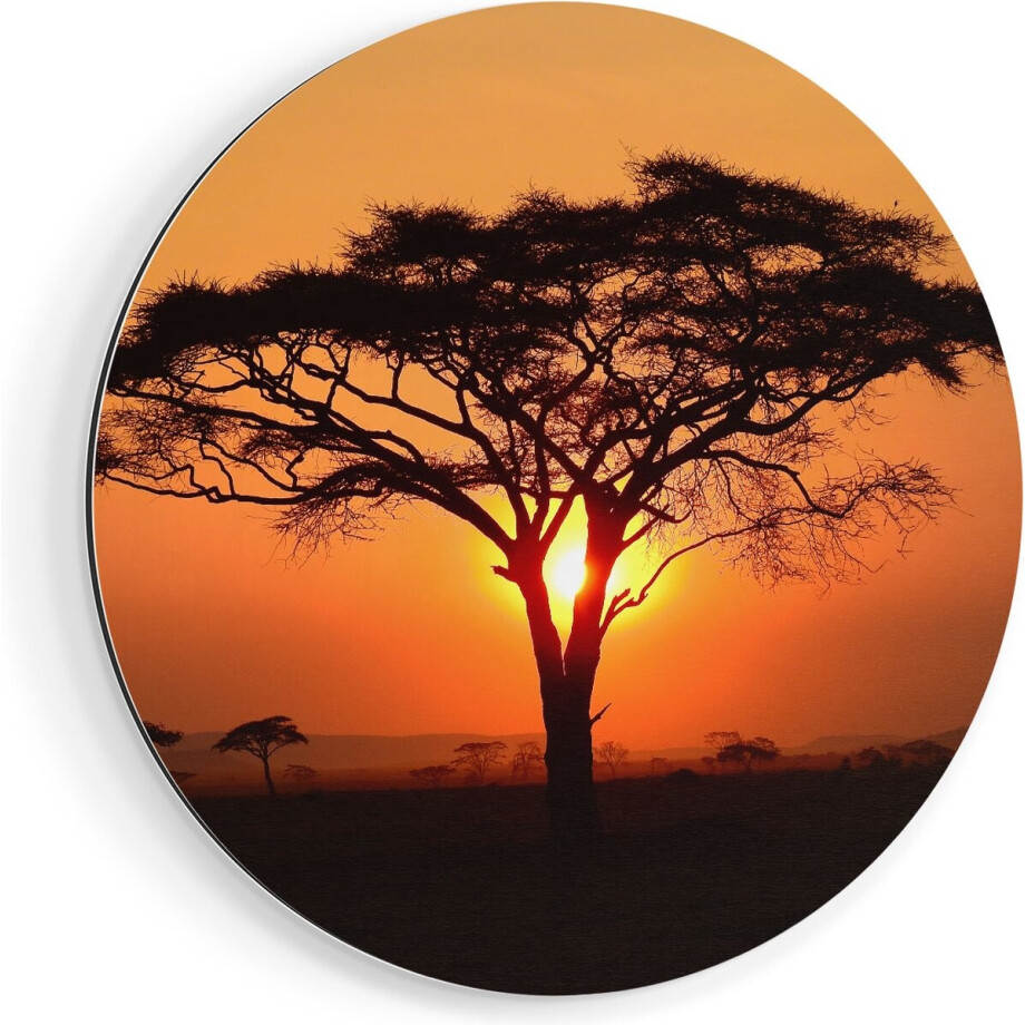 Artaza Dibond Muurcirkel Zonsondergang Achter Een Savanne Boom - Ø 80 cm - Groot - Wandcirkel - Rond Schilderij - Voor Binnen en Buiten afbeelding 1