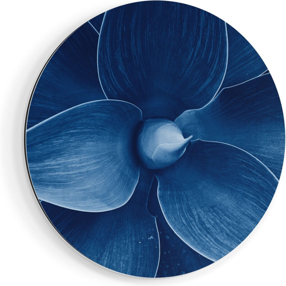 Artaza Dibond Muurcirkel Blauwe Agave Plant - Bloem - Ø 80 cm - Groot - Wandcirkel - Rond Schilderij - Voor Binnen en Buiten afbeelding 1