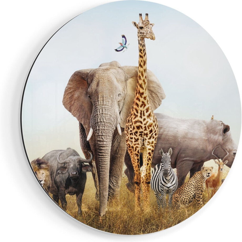 Artaza Dibond Muurcirkel Afrikaanse Dieren op het Gras - Afrika - Ø 60 cm - Wandcirkel - Rond Schilderij - Voor Binnen en Buiten Artaza Dibond Muurcirkel Afrikaanse Dieren op het Gras - Afrika - Ø 60 cm - Wandcirkel - Rond Schilderij - Voor Binnen en Buiten afbeelding 1