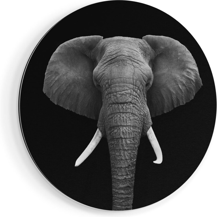 Artaza Dibond Muurcirkel Olifantenkop - Olifant - Zwart Wit - Ø 60 cm - Wandcirkel - Rond Schilderij - Voor Binnen en Buiten afbeelding 1