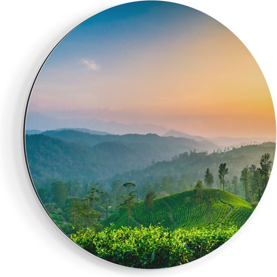 Artaza Dibond Muurcirkel Zonsondergang Op Een Thee Plantage - Ø 60 cm - Wandcirkel - Rond Schilderij - Voor Binnen en Buiten Artaza Dibond Muurcirkel Zonsondergang Op Een Thee Plantage - Ø 60 cm - Wandcirkel - Rond Schilderij - Voor Binnen en Buiten afbeelding 1