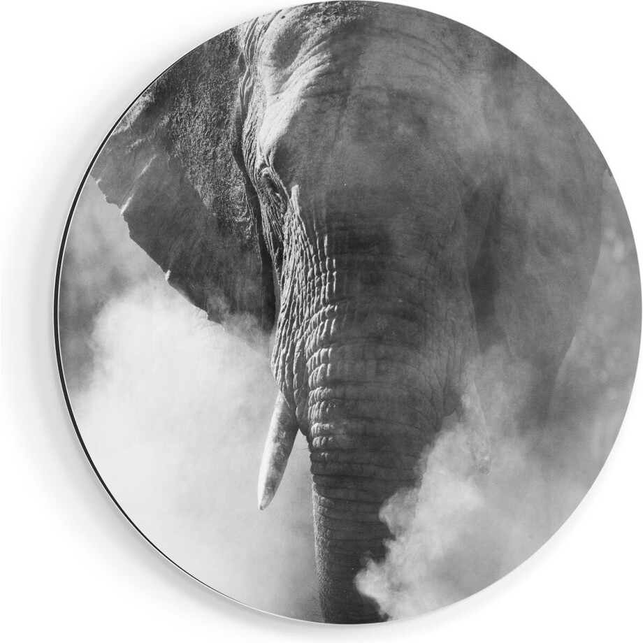 Artaza Dibond Muurcirkel Olifantenkop - Olifant - Zwart Wit - Ø 70 cm - Wandcirkel - Rond Schilderij - Voor Binnen en Buiten Artaza Dibond Muurcirkel Olifantenkop - Olifant - Zwart Wit - Ø 70 cm - Wandcirkel - Rond Schilderij - Voor Binnen en Buiten afbeelding 1