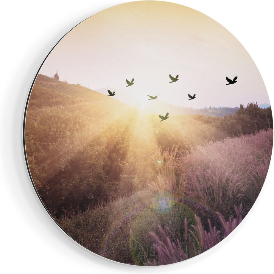 Artaza Dibond Muurcirkel Silhouet Zwerm Vogels Bij Zonsondergang - Ø 60 cm - Wandcirkel - Rond Schilderij - Voor Binnen en Buiten afbeelding 1