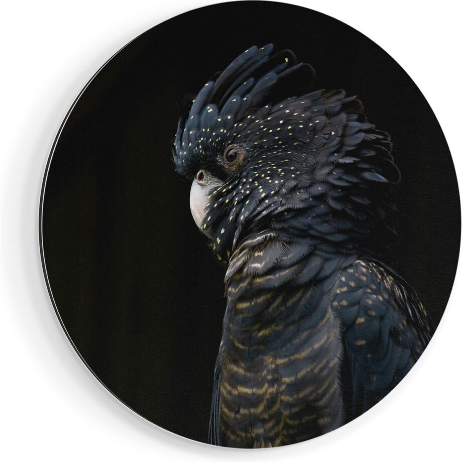 Artaza Dibond Muurcirkel Zwarte Kaketoe - Ø 90 cm - Groot - Wandcirkel - Rond Schilderij - Voor Binnen en Buiten Artaza Dibond Muurcirkel Zwarte Kaketoe - Ø 90 cm - Groot - Wandcirkel - Rond Schilderij - Voor Binnen en Buiten afbeelding 1