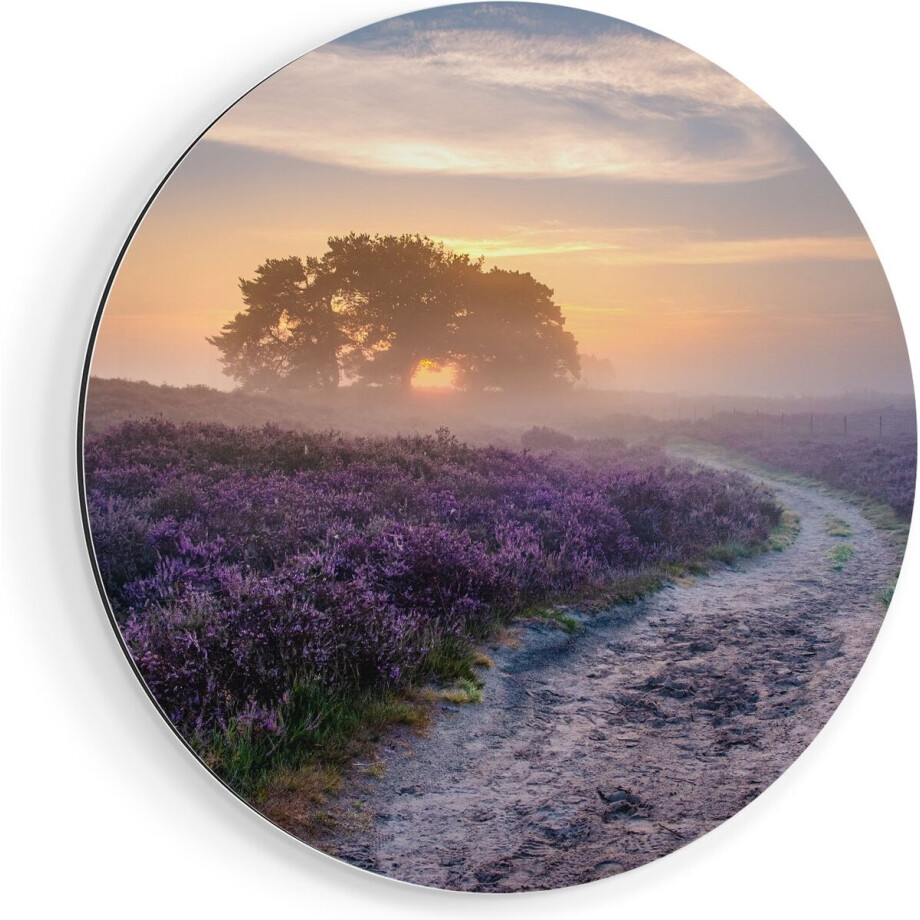 Artaza Dibond Muurcirkel Pad in de Weide van de Veluwe - Ø 50 cm - Klein - Wandcirkel - Rond Schilderij - Voor Binnen en Buiten afbeelding 1