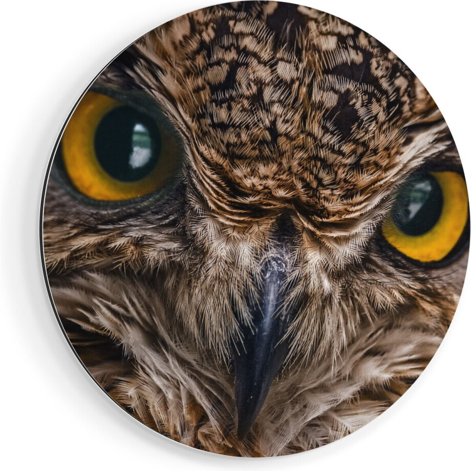 Artaza Dibond Muurcirkel Uilenkop Met Gele Ogen - Uil - Ø 90 cm - Groot - Wandcirkel - Rond Schilderij - Voor Binnen en Buiten afbeelding 1