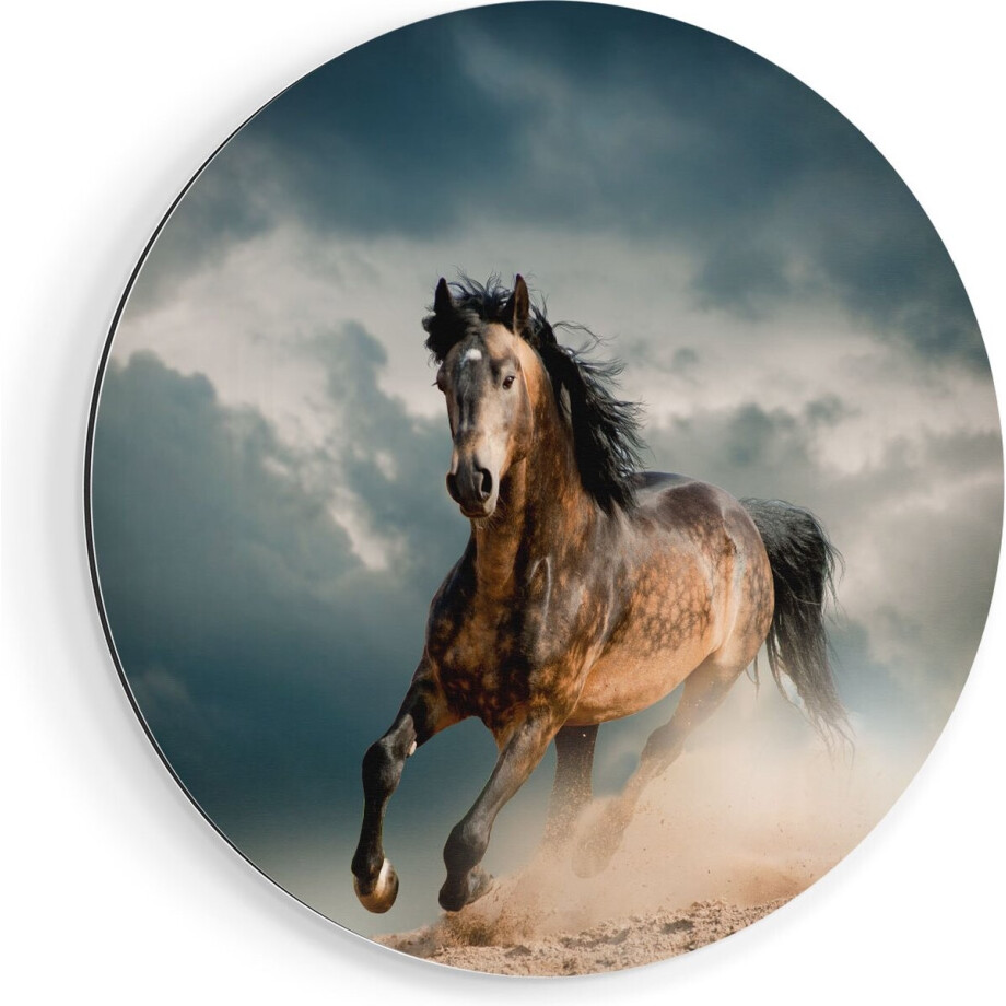 Artaza Dibond Muurcirkel Wilde Paard In Het Zand - Ø 50 cm - Klein - Wandcirkel - Rond Schilderij - Voor Binnen en Buiten Artaza Dibond Muurcirkel Wilde Paard In Het Zand - Ø 50 cm - Klein - Wandcirkel - Rond Schilderij - Voor Binnen en Buiten afbeelding 1