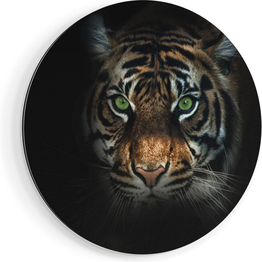 Artaza Dibond Muurcirkel Tijgerkop Met Groene Ogen - Tijger - Ø 40 cm - Klein - Wandcirkel - Rond Schilderij - Voor Binnen en Buiten afbeelding 1