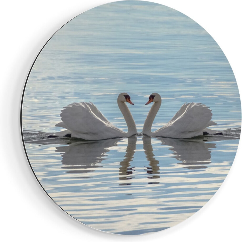 Artaza Dibond Muurcirkel Zwanen Koppel op het Water - Ø 40 cm - Klein - Wandcirkel - Rond Schilderij - Voor Binnen en Buiten afbeelding 1