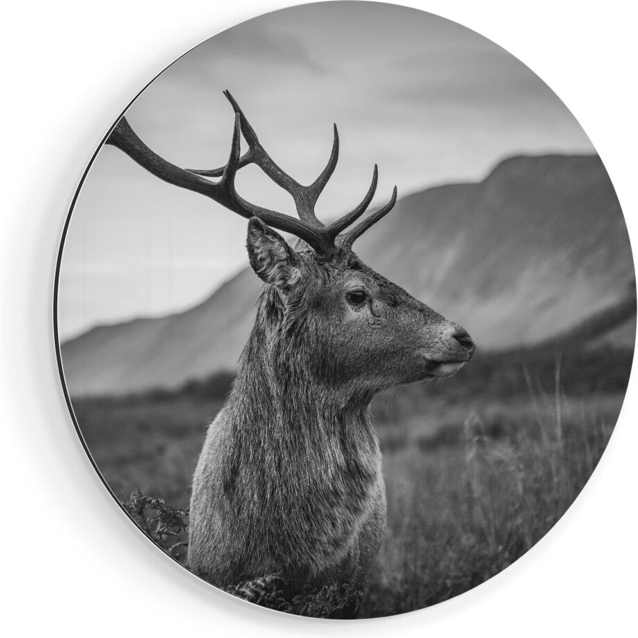 Artaza Dibond Muurcirkel Hertenkop - Hert - Zwart Wit - Ø 60 cm - Wandcirkel - Rond Schilderij - Voor Binnen en Buiten Artaza Dibond Muurcirkel Hertenkop - Hert - Zwart Wit - Ø 60 cm - Wandcirkel - Rond Schilderij - Voor Binnen en Buiten afbeelding 1