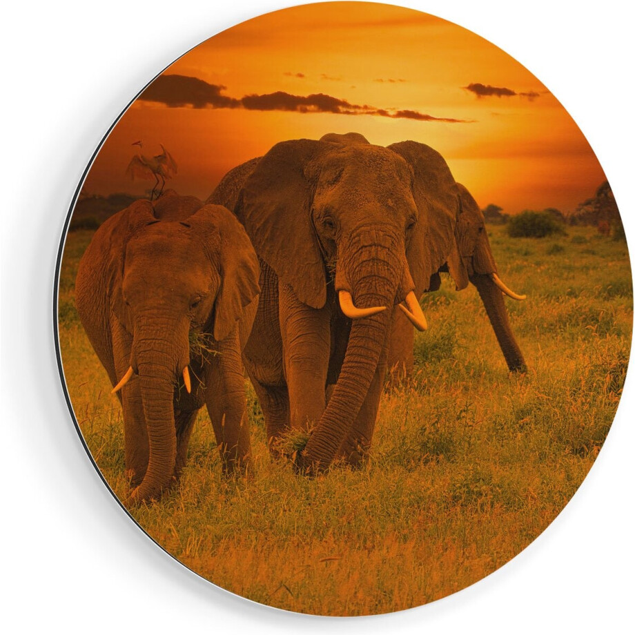 Artaza Dibond Muurcirkel Olifanten In Het Wild - Zonsondergang - Ø 90 cm - Groot - Wandcirkel - Rond Schilderij - Voor Binnen en Buiten Artaza Dibond Muurcirkel Olifanten In Het Wild - Zonsondergang - Ø 90 cm - Groot - Wandcirkel - Rond Schilderij - Voor Binnen en Buiten afbeelding 1