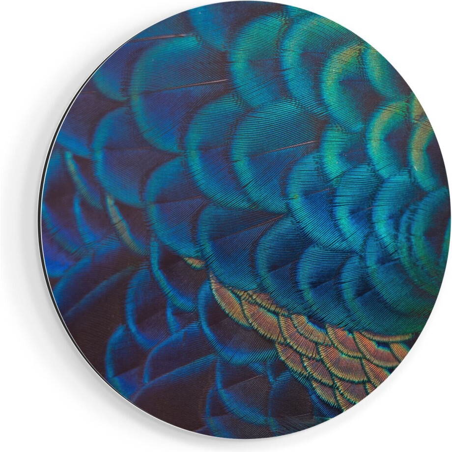 Artaza Dibond Muurcirkel Kleurrijke Pauw Veren Van Dichtbij - Ø 80 cm - Groot - Wandcirkel - Rond Schilderij - Voor Binnen en Buiten Artaza Dibond Muurcirkel Kleurrijke Pauw Veren Van Dichtbij - Ø 80 cm - Groot - Wandcirkel - Rond Schilderij - Voor Binnen en Buiten afbeelding 1