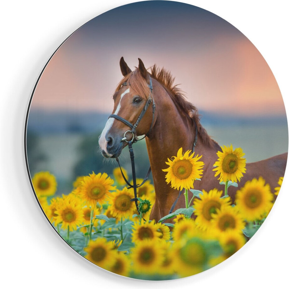 Artaza Dibond Muurcirkel Bruin Paard Tussen De Zonnebloemen - Ø 60 cm - Wandcirkel - Rond Schilderij - Voor Binnen en Buiten Artaza Dibond Muurcirkel Bruin Paard Tussen De Zonnebloemen - Ø 60 cm - Wandcirkel - Rond Schilderij - Voor Binnen en Buiten afbeelding 1