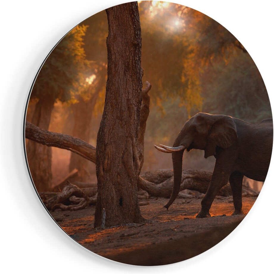 Artaza Dibond Muurcirkel Olifant In het Bos - Ø 70 cm - Wandcirkel - Rond Schilderij - Voor Binnen en Buiten afbeelding 1
