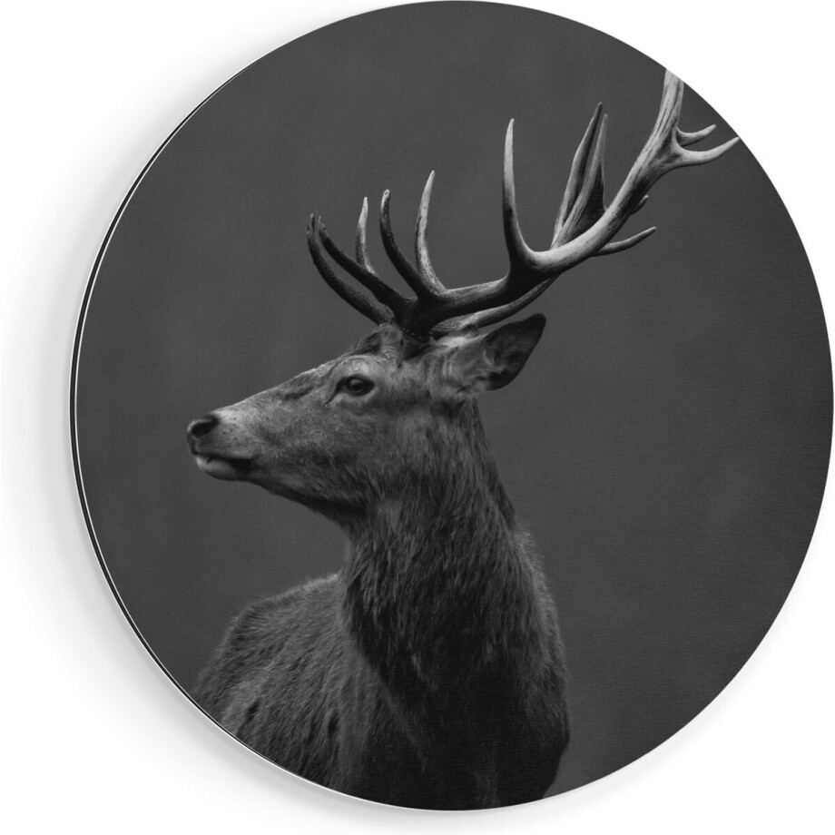 Artaza Dibond Muurcirkel Hertenkop - Hert - Zwart Wit - Ø 70 cm - Wandcirkel - Rond Schilderij - Voor Binnen en Buiten afbeelding 1