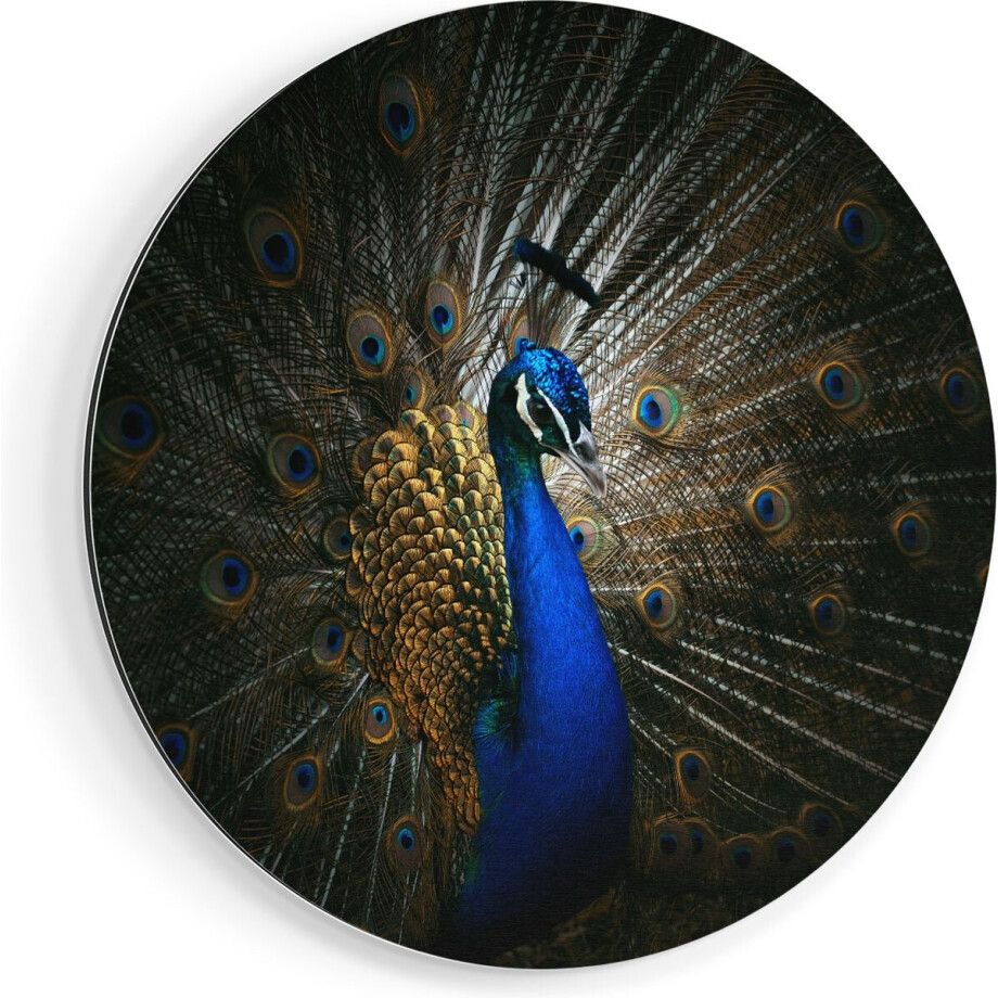 Artaza Dibond Muurcirkel Blauwe Pauw Met Grote Veren - Ø 70 cm - Wandcirkel - Rond Schilderij - Voor Binnen en Buiten afbeelding 1