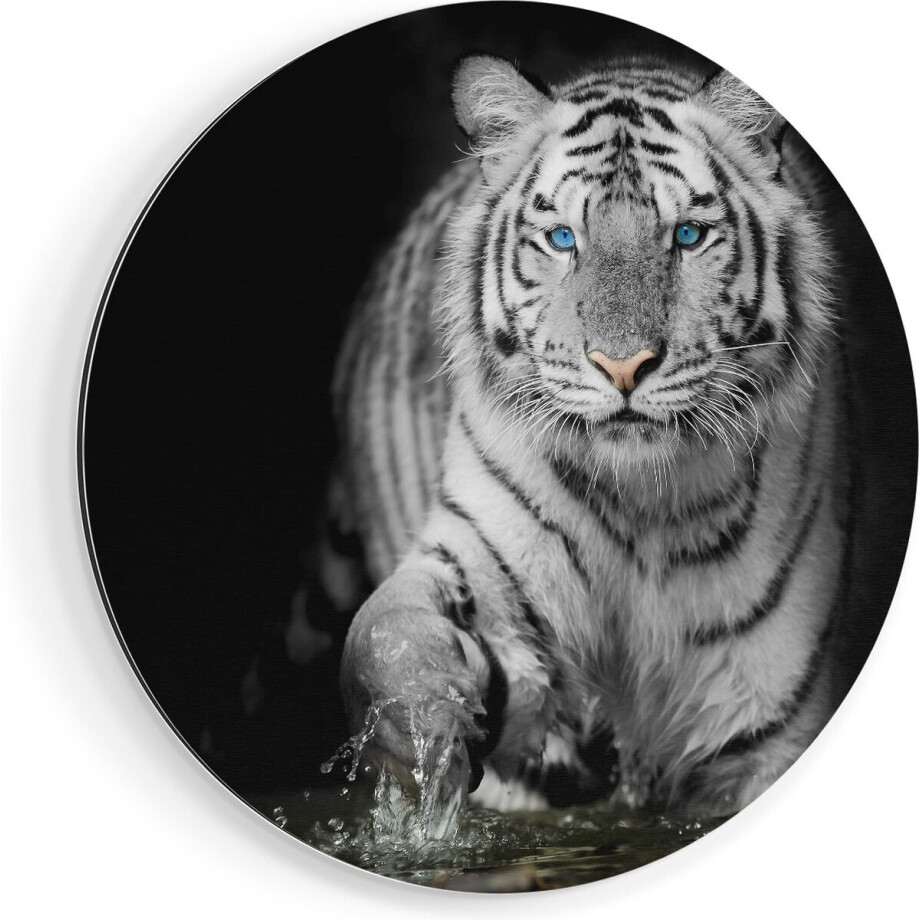 Artaza Dibond Muurcirkel Tijger Met Blauwe Ogen - Zwart Wit - Ø 50 cm - Klein - Wandcirkel - Rond Schilderij - Voor Binnen en Buiten afbeelding 1