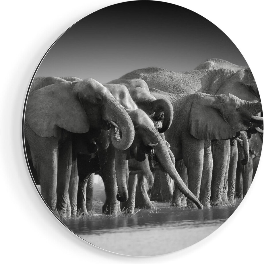 Artaza Dibond Muurcirkel Groep Olifanten Bij Het Water - Zwart Wit - Ø 80 cm - Groot - Wandcirkel - Rond Schilderij - Voor Binnen en Buiten Artaza Dibond Muurcirkel Groep Olifanten Bij Het Water - Zwart Wit - Ø 80 cm - Groot - Wandcirkel - Rond Schilderij - Voor Binnen en Buiten afbeelding 1