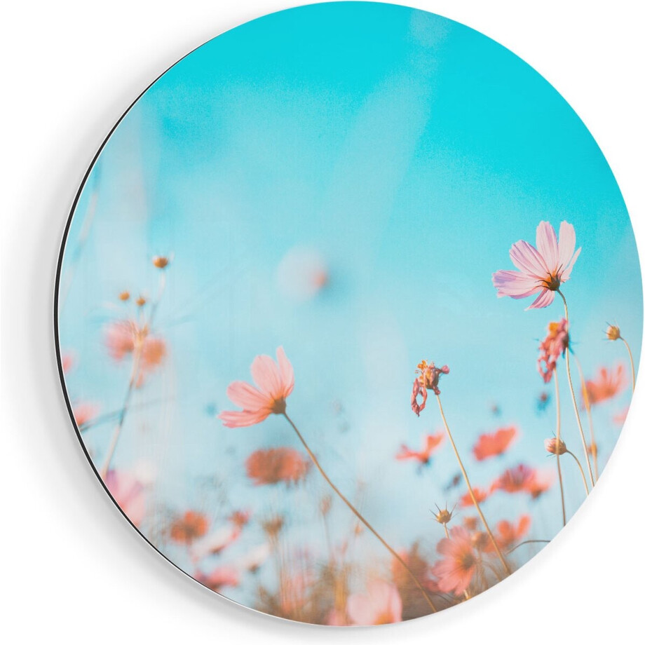 Artaza Dibond Muurcirkel Paarse Kosmos Bloemen - Ø 70 cm - Wandcirkel - Rond Schilderij - Voor Binnen en Buiten Artaza Dibond Muurcirkel Paarse Kosmos Bloemen - Ø 70 cm - Wandcirkel - Rond Schilderij - Voor Binnen en Buiten afbeelding 1