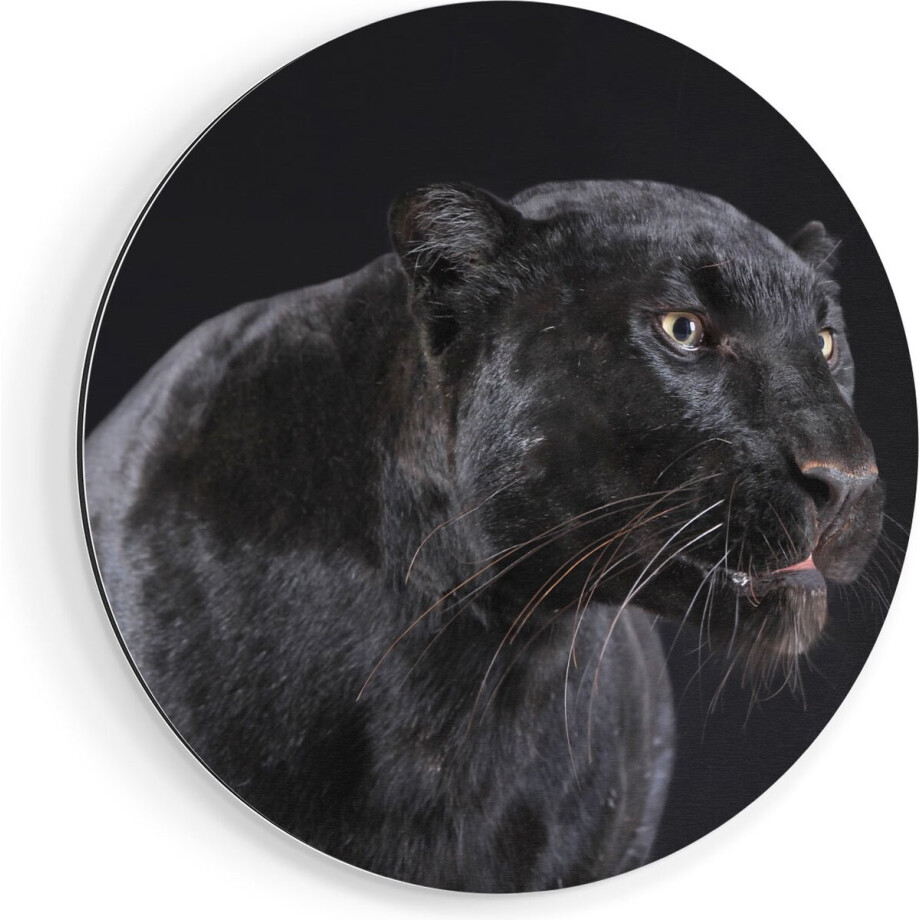 Artaza Dibond Muurcirkel Zwarte Panterkop - Panter - Ø 90 cm - Groot - Wandcirkel - Rond Schilderij - Voor Binnen en Buiten afbeelding 1