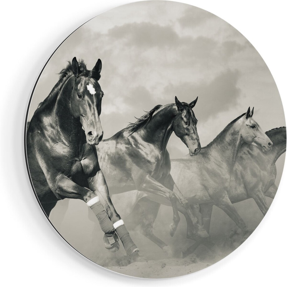 Artaza Dibond Muurcirkel Vier Paarden Naast Elkaar - Zwart Wit - Ø 50 cm - Klein - Wandcirkel - Rond Schilderij - Voor Binnen en Buiten Artaza Dibond Muurcirkel Vier Paarden Naast Elkaar - Zwart Wit - Ø 50 cm - Klein - Wandcirkel - Rond Schilderij - Voor Binnen en Buiten afbeelding 1
