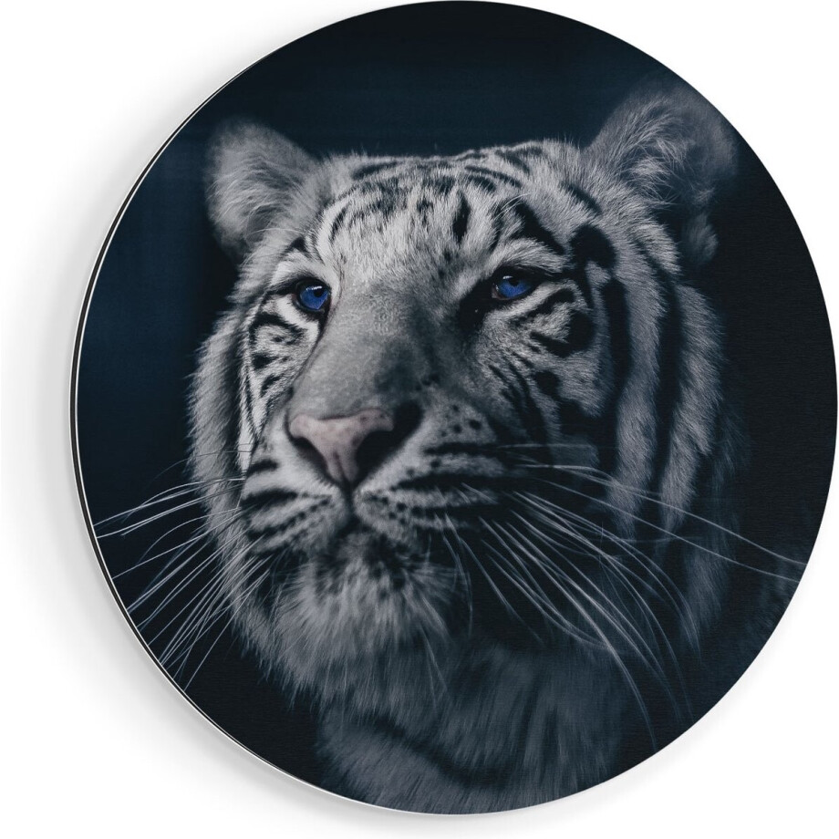 Artaza Dibond Muurcirkel Tijgerkop Met Blauwe Ogen - Zwart Wit - Ø 50 cm - Klein - Wandcirkel - Rond Schilderij - Voor Binnen en Buiten afbeelding 1