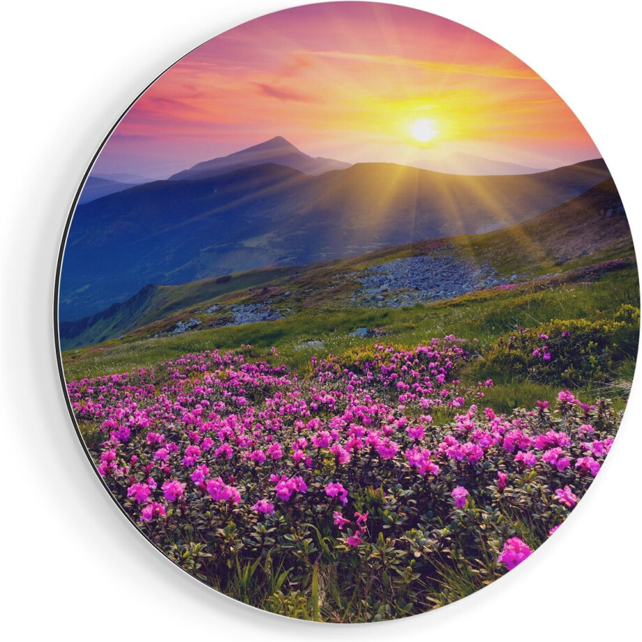 Artaza Dibond Muurcirkel Roze Rhododendron Bloemenveld - Bergen - Ø 40 cm - Klein - Wandcirkel - Rond Schilderij - Voor Binnen en Buiten afbeelding 1