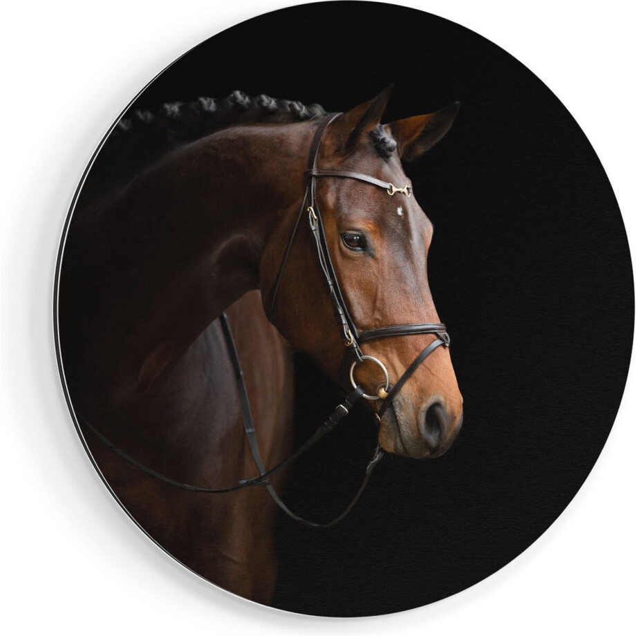 Artaza Dibond Muurcirkel Bruin Paard Op Een Zwart Achtergrond - Ø 70 cm - Wandcirkel - Rond Schilderij - Voor Binnen en Buiten Artaza Dibond Muurcirkel Bruin Paard Op Een Zwart Achtergrond - Ø 70 cm - Wandcirkel - Rond Schilderij - Voor Binnen en Buiten afbeelding 1