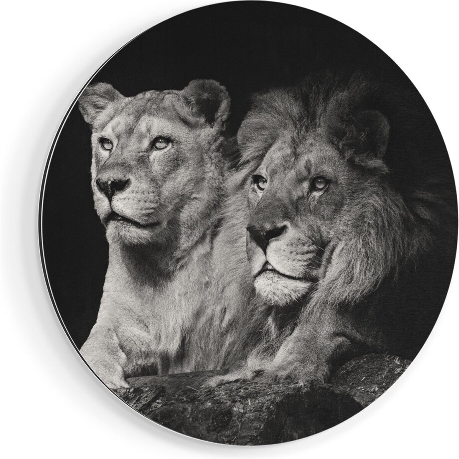 Artaza Dibond Muurcirkel Leeuw En Leeuwin - Zwart Wit - Ø 90 cm - Groot - Wandcirkel - Rond Schilderij - Voor Binnen en Buiten Artaza Dibond Muurcirkel Leeuw En Leeuwin - Zwart Wit - Ø 90 cm - Groot - Wandcirkel - Rond Schilderij - Voor Binnen en Buiten afbeelding 1