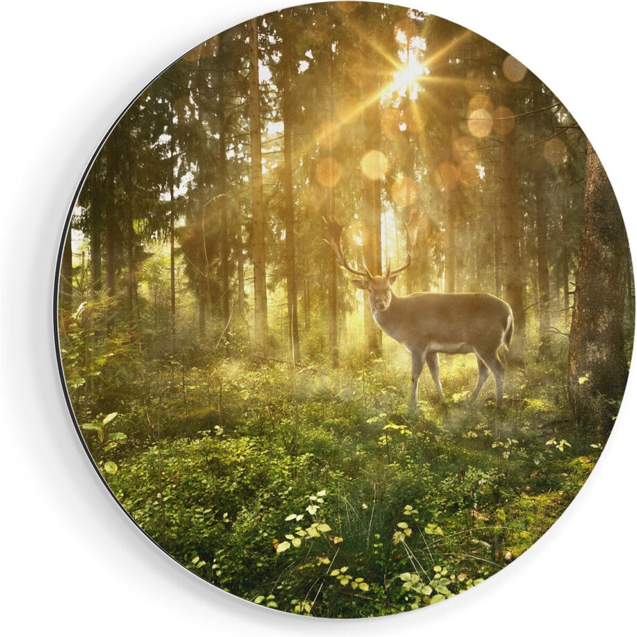 Artaza Dibond Muurcirkel Hert In Bos Met Zon - Ø 60 cm - Wandcirkel - Rond Schilderij - Voor Binnen en Buiten Artaza Dibond Muurcirkel Hert In Bos Met Zon - Ø 60 cm - Wandcirkel - Rond Schilderij - Voor Binnen en Buiten afbeelding 1