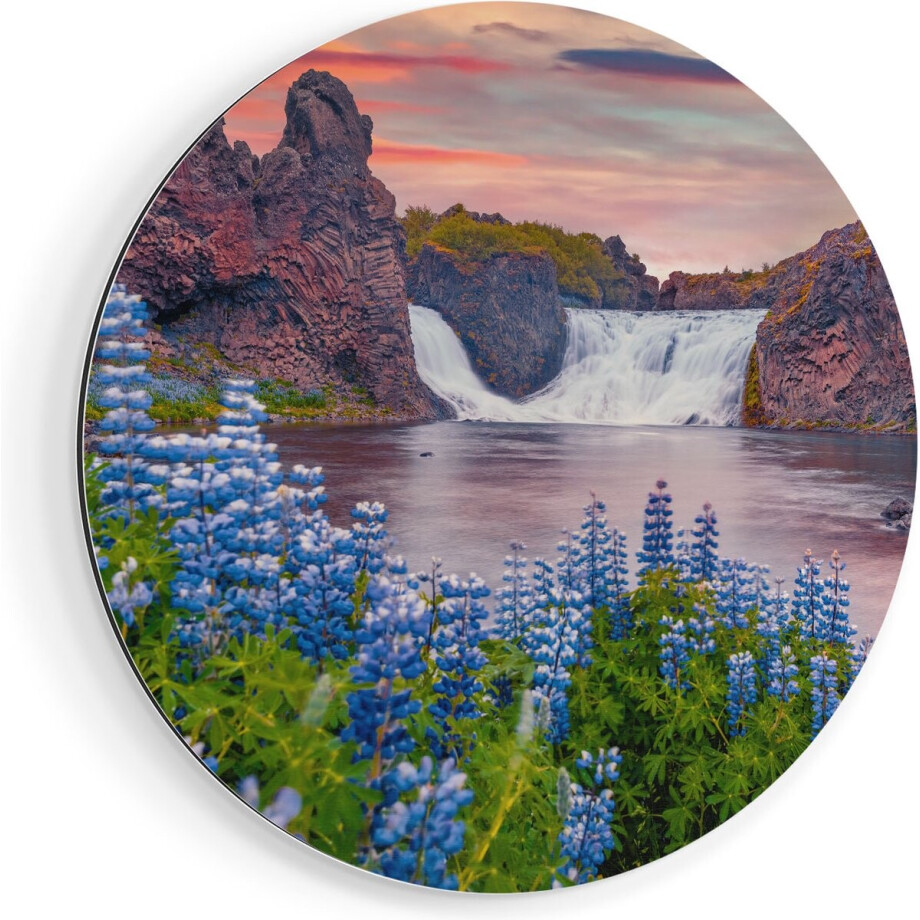 Artaza Dibond Muurcirkel Waterval Met Blauwe Lupine Bloemen - Ø 80 cm - Groot - Wandcirkel - Rond Schilderij - Voor Binnen en Buiten Artaza Dibond Muurcirkel Waterval Met Blauwe Lupine Bloemen - Ø 80 cm - Groot - Wandcirkel - Rond Schilderij - Voor Binnen en Buiten afbeelding 1